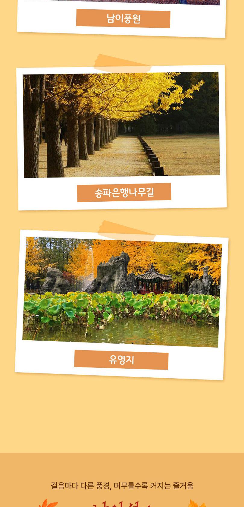 남이섬 입장권