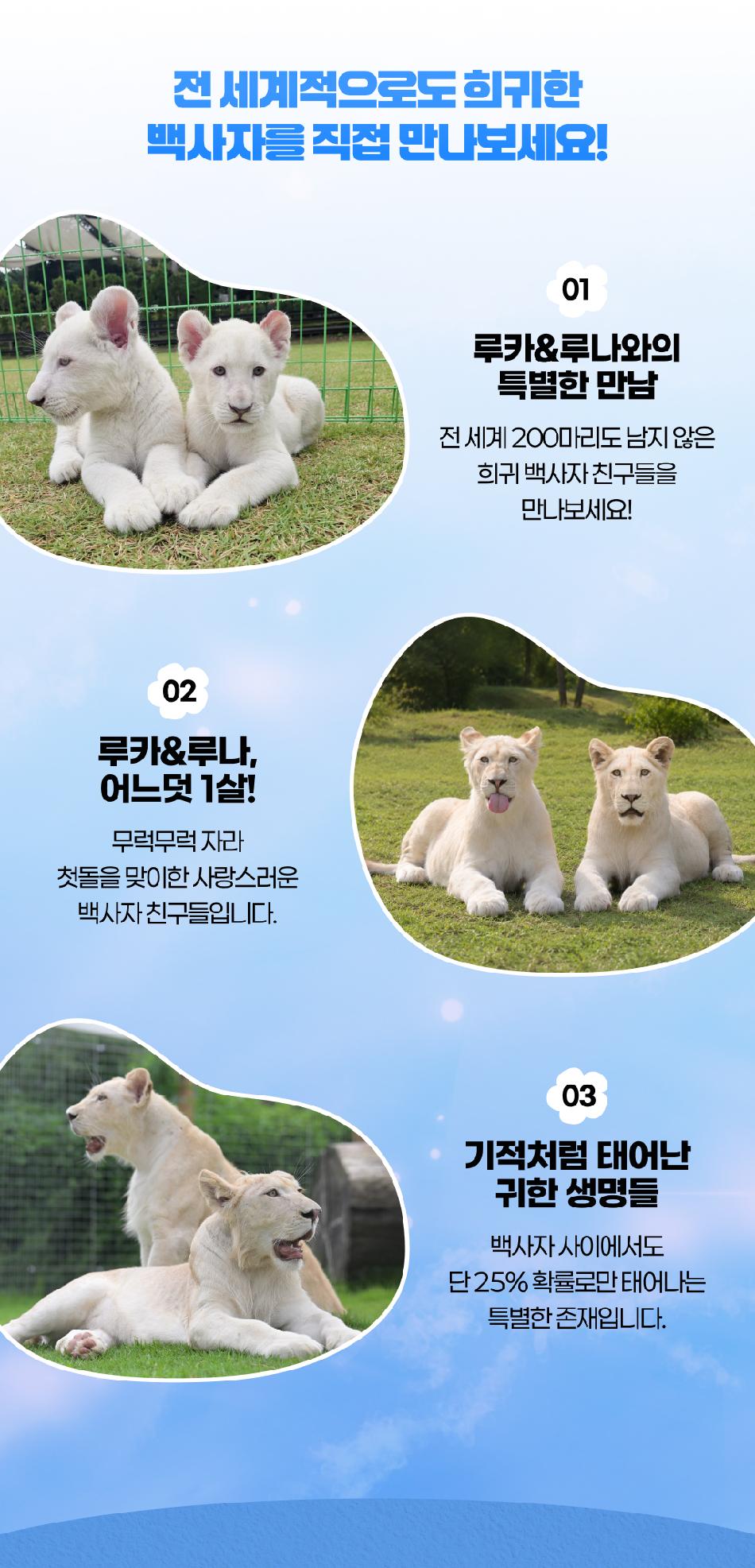상품 상세 이미지 10