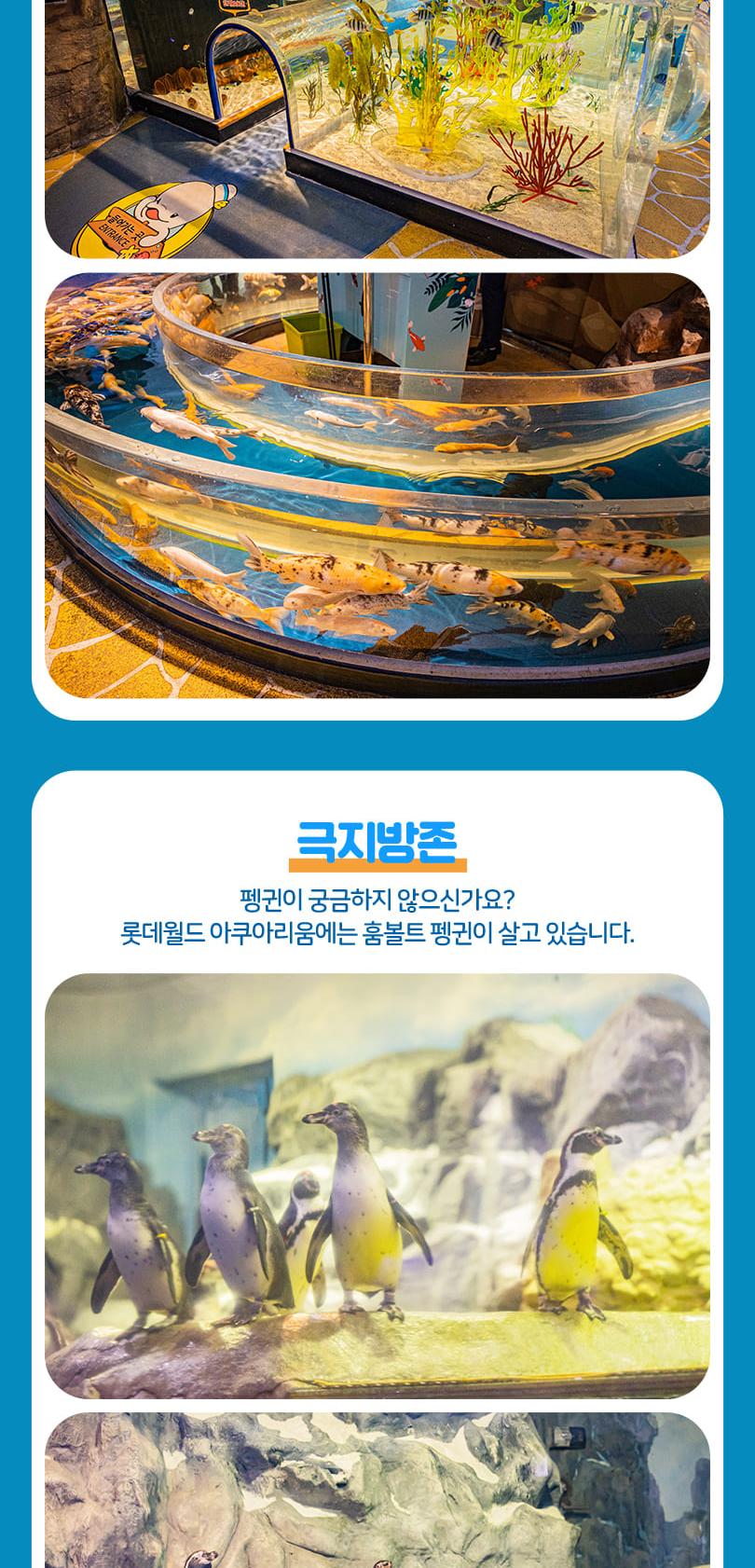 상품 상세 이미지 14