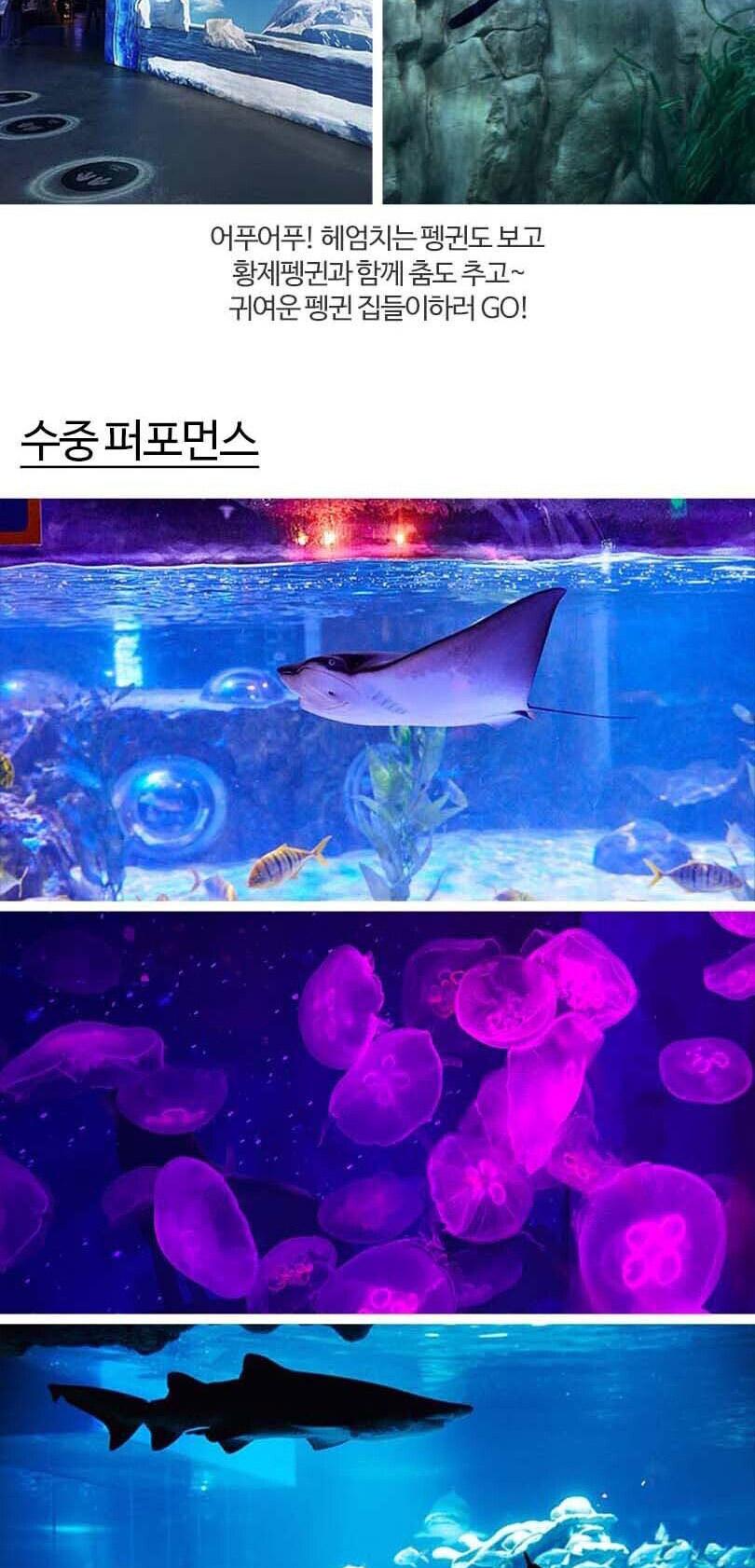 상품 상세 이미지 10
