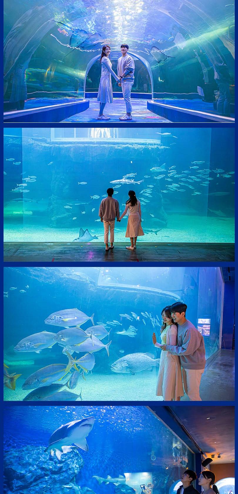 상품 상세 이미지 11