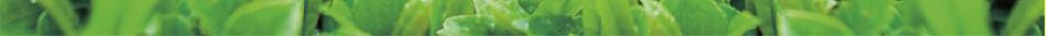 preview-detail