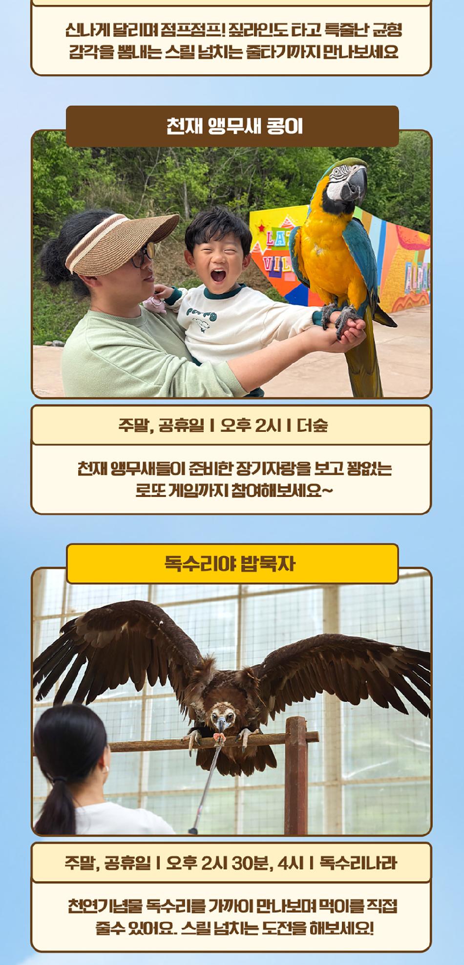 상품 상세 이미지 13