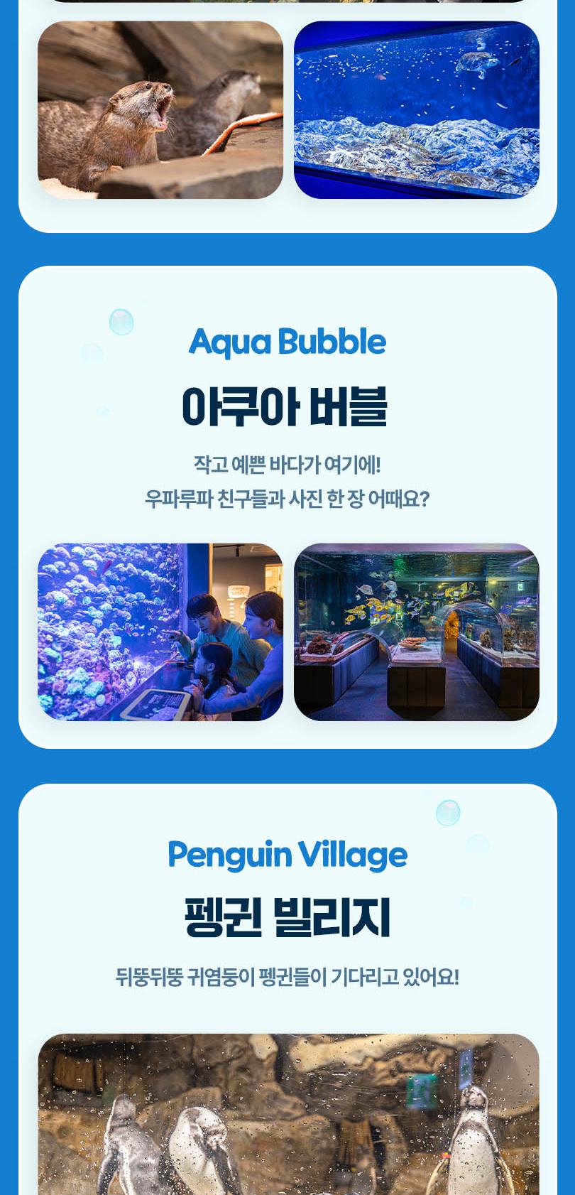 [광교] 아쿠아플라넷 입장권(11/1~11/30)