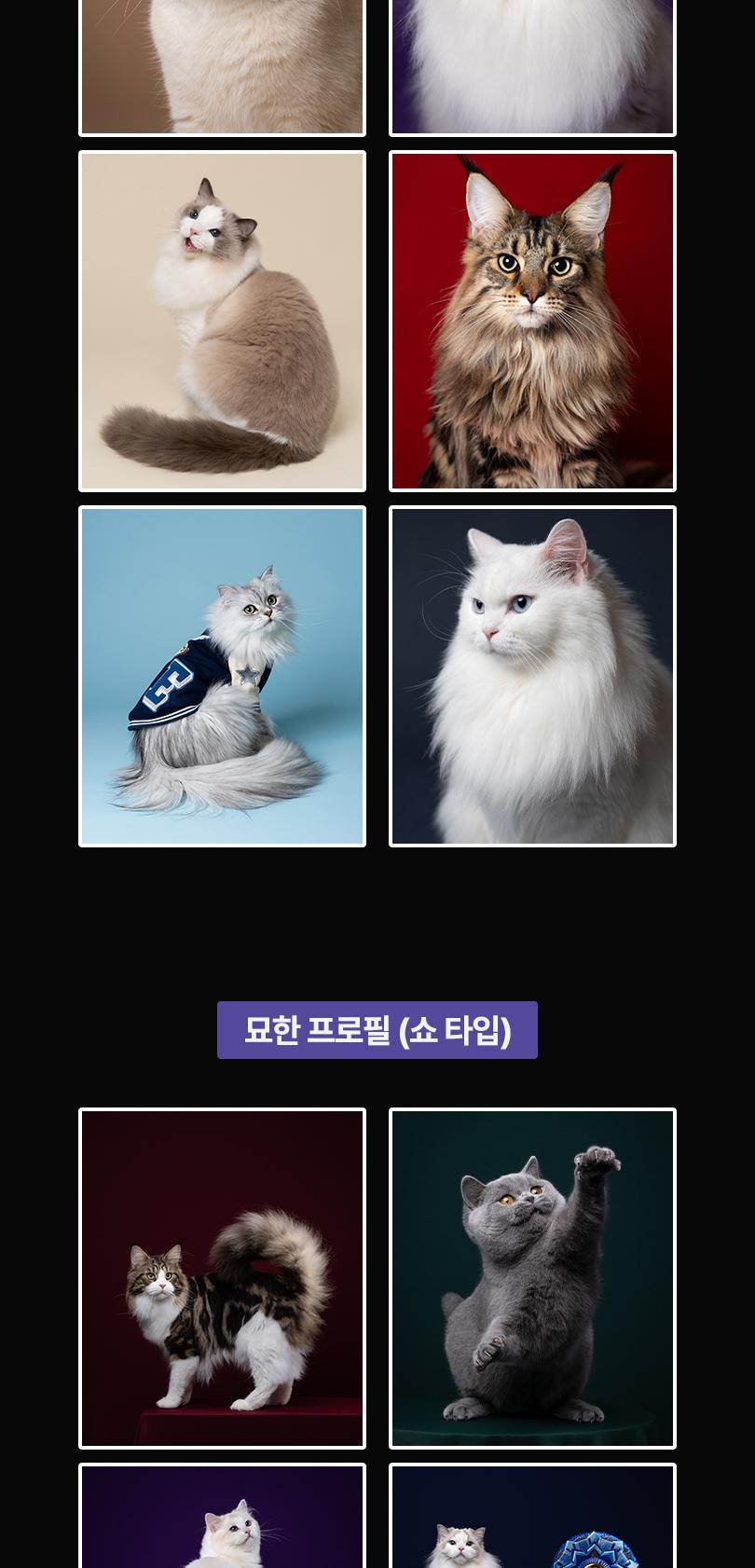 상품 상세 이미지 4