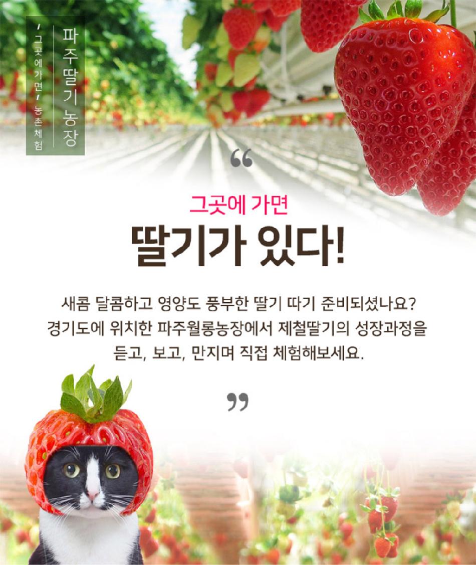 상품 상세 이미지 3