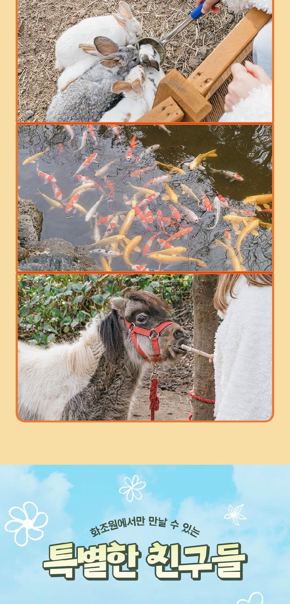 상품 상세 이미지 8