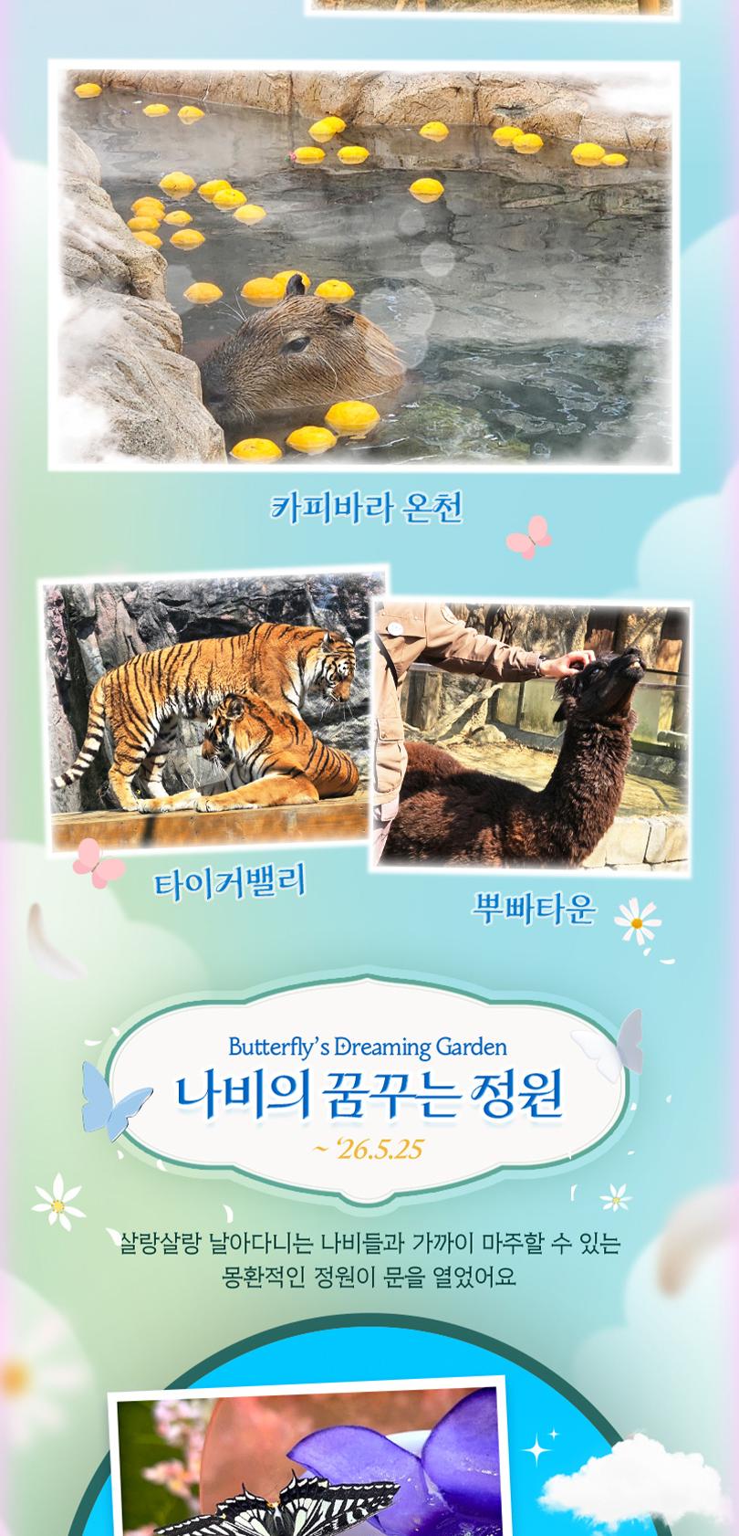 상품 상세 이미지 12