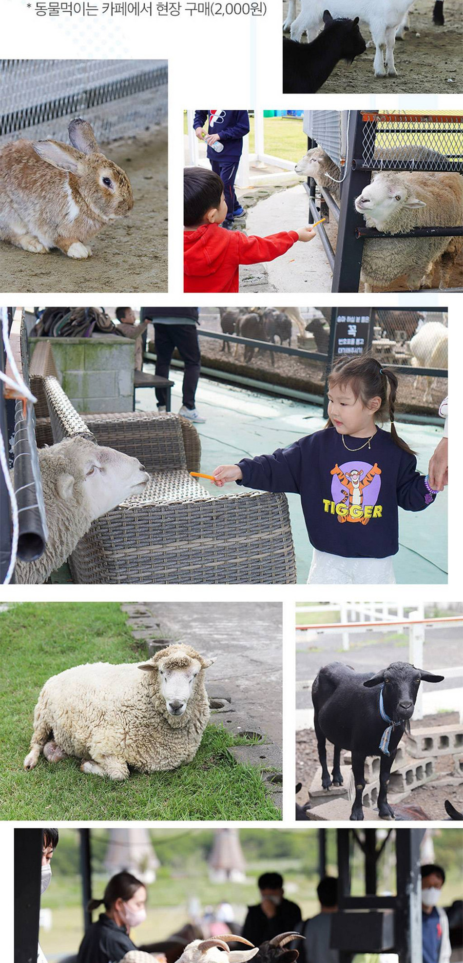 상품 상세 이미지 19