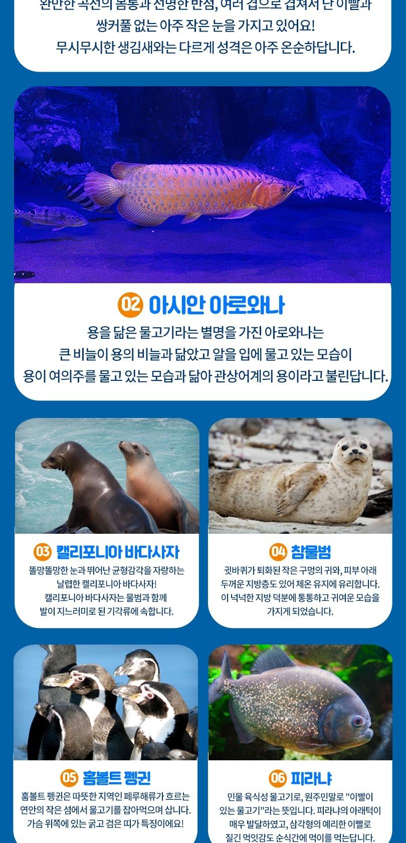상품 상세 이미지 8
