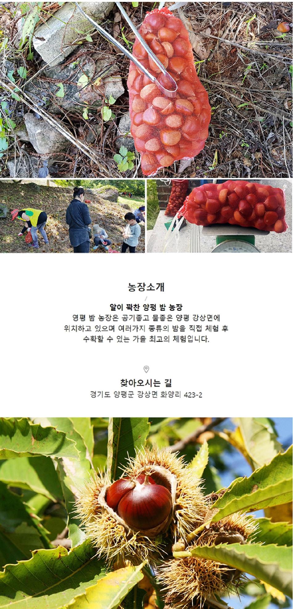 상품 상세 이미지 6