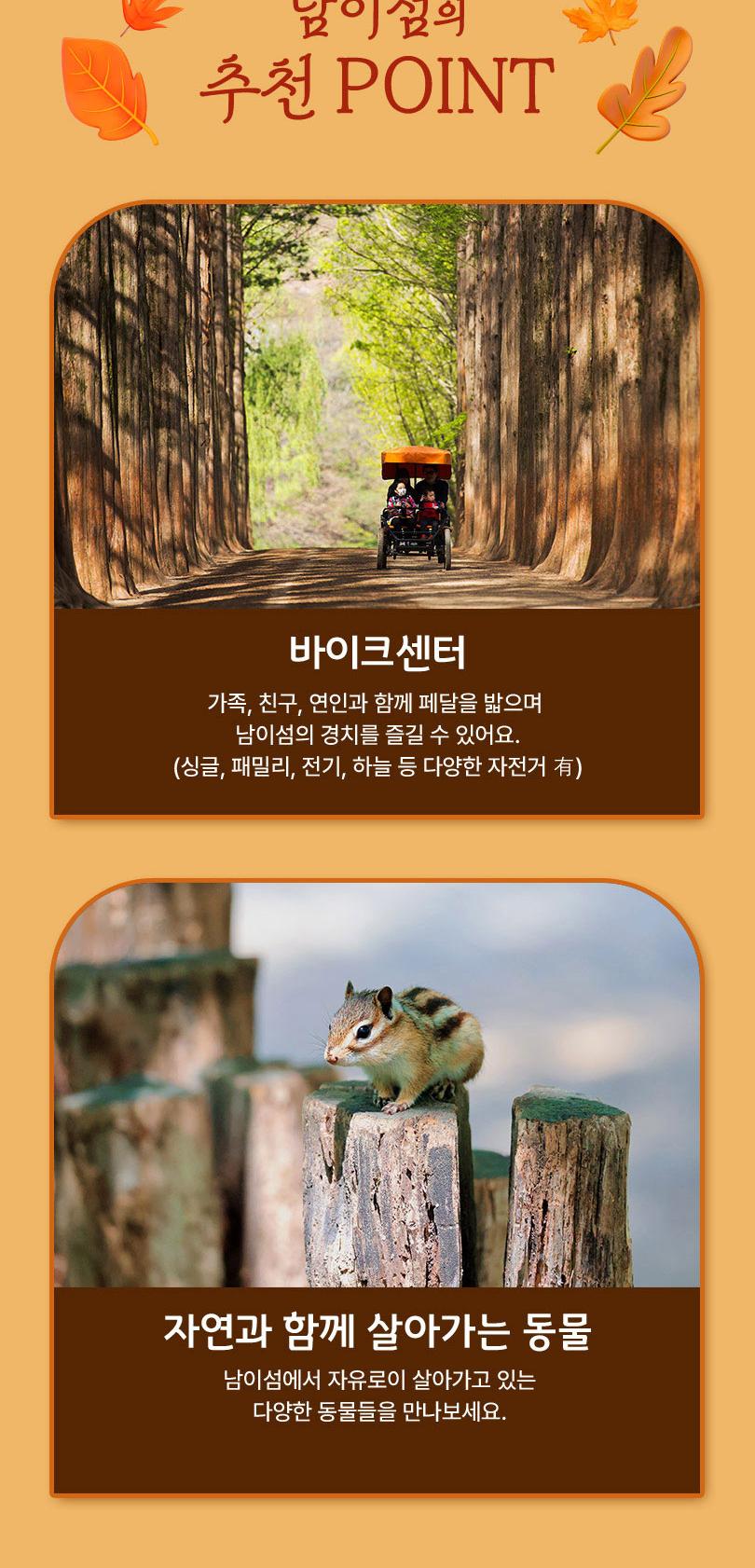남이섬 입장권