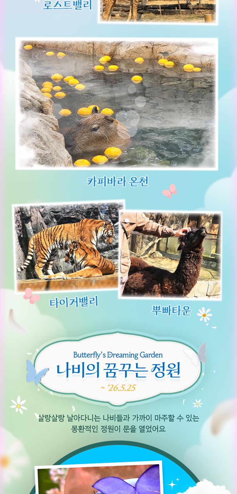 상품 상세 이미지 12