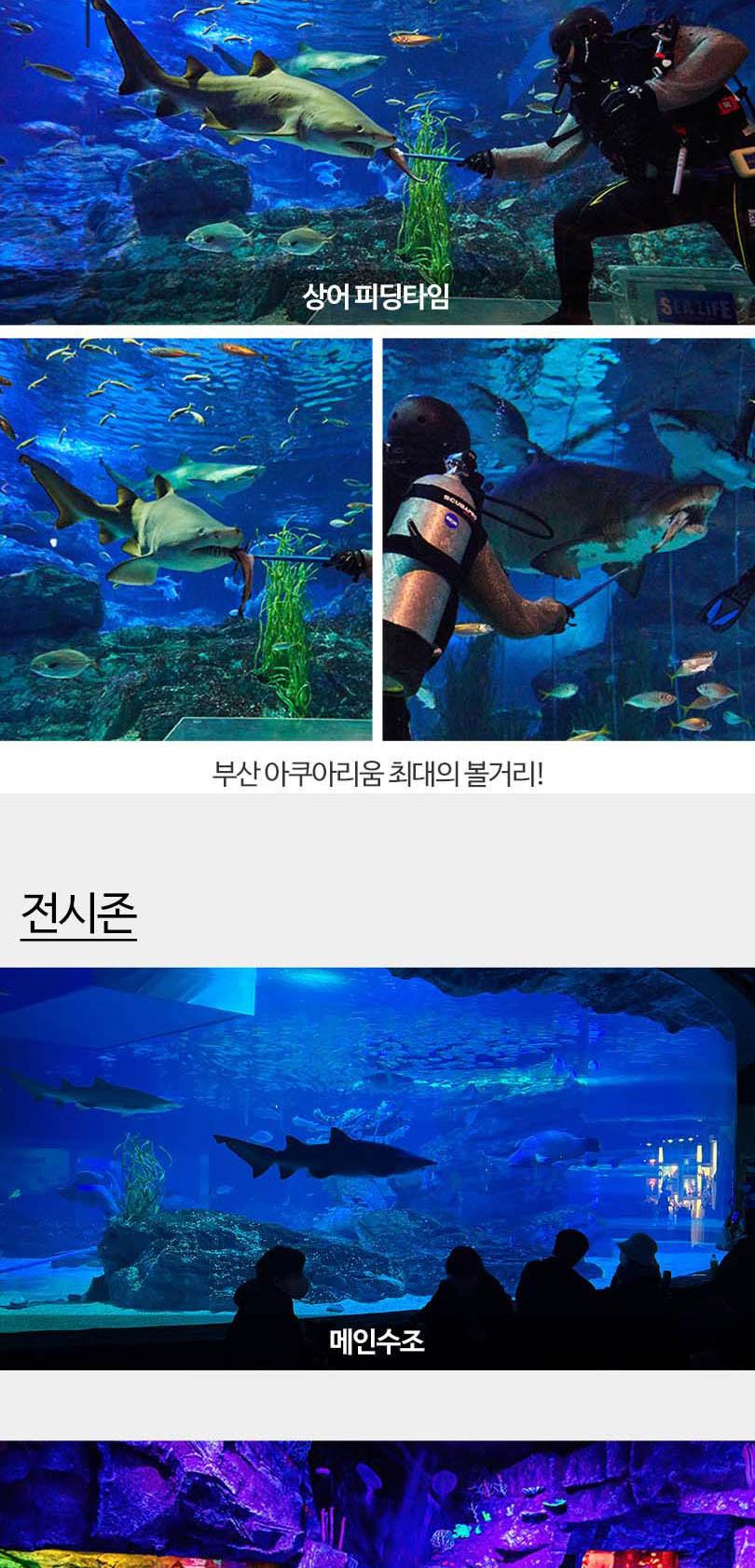 상품 상세 이미지 13