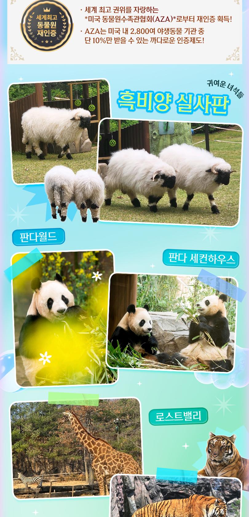 상품 상세 이미지 16