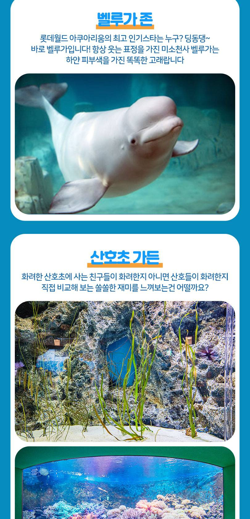 상품 상세 이미지 11