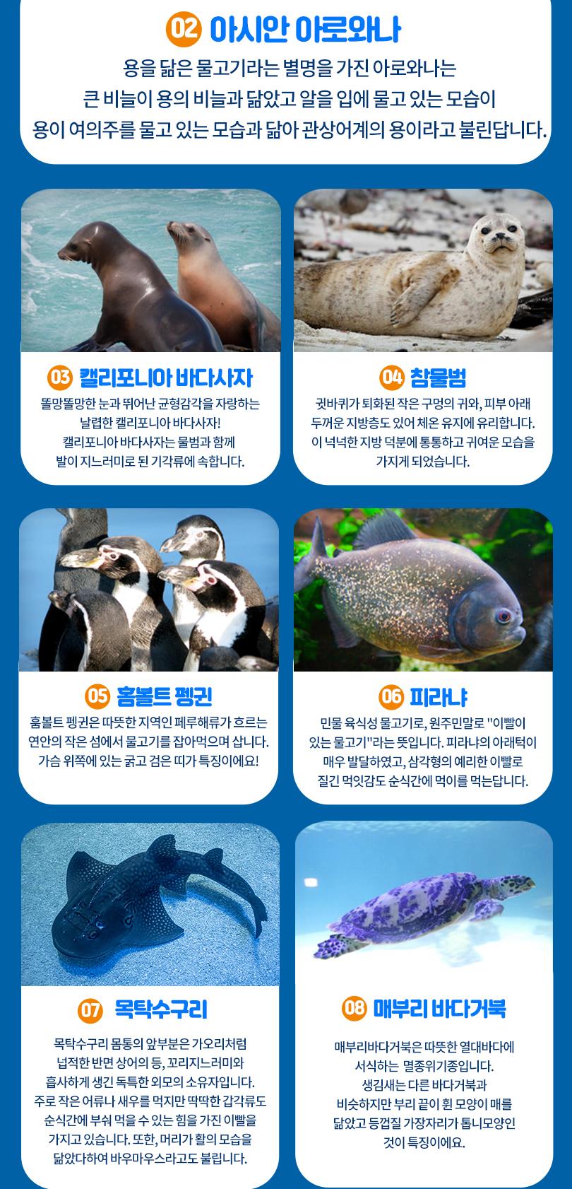 상품 상세 이미지 10