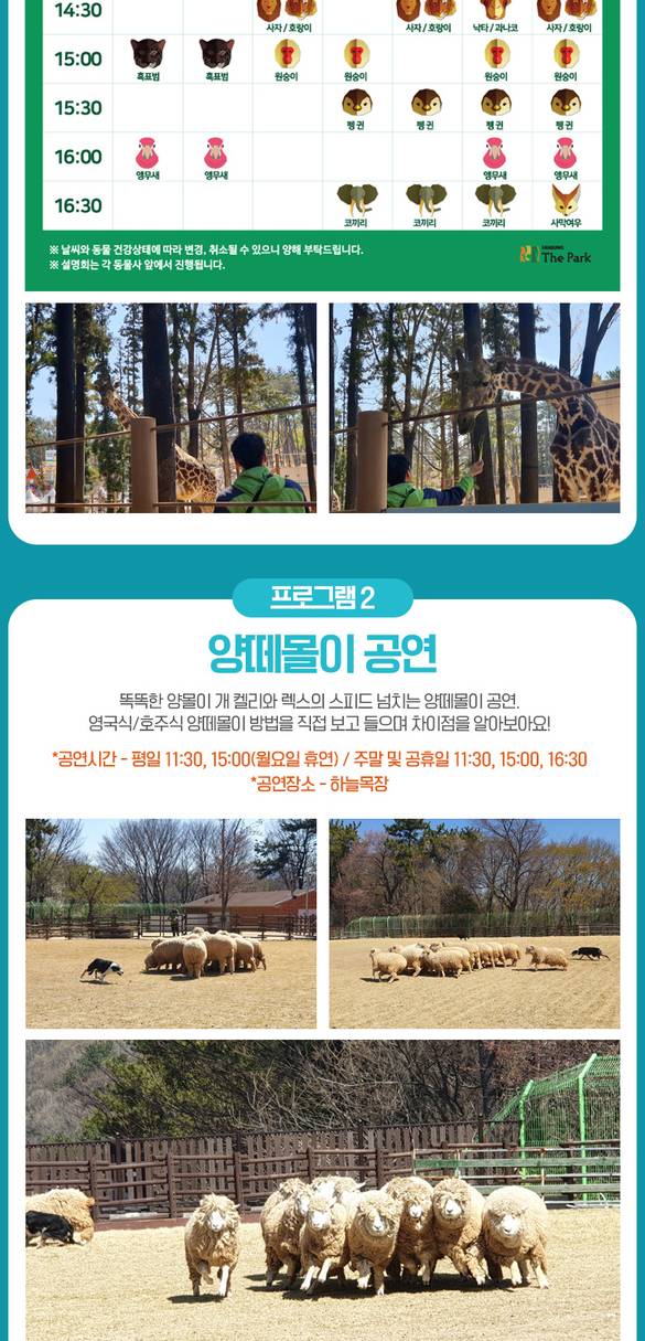 상품 상세 이미지 5