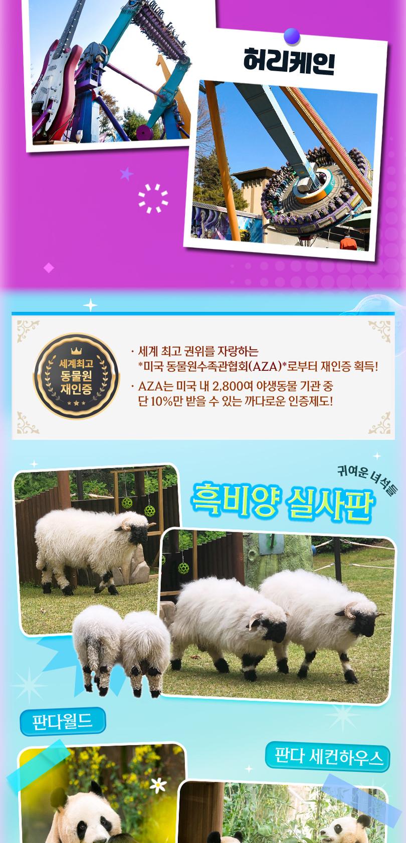 상품 상세 이미지 12