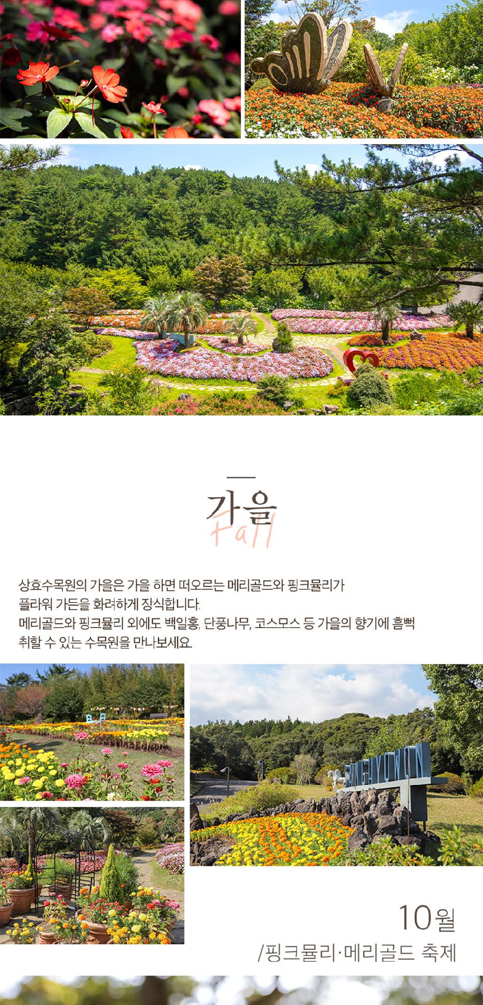 상품 상세 이미지 11