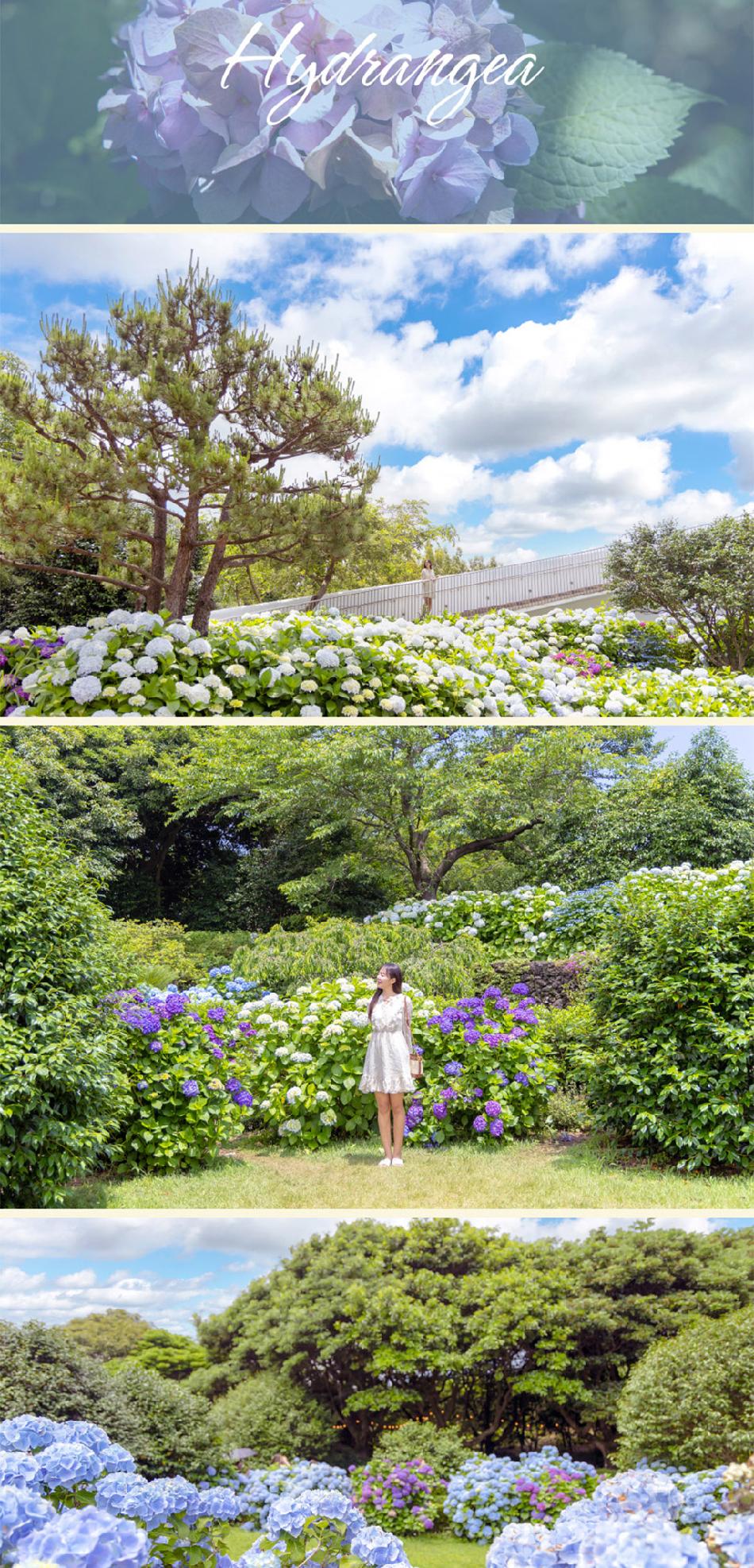 상품 상세 이미지 9