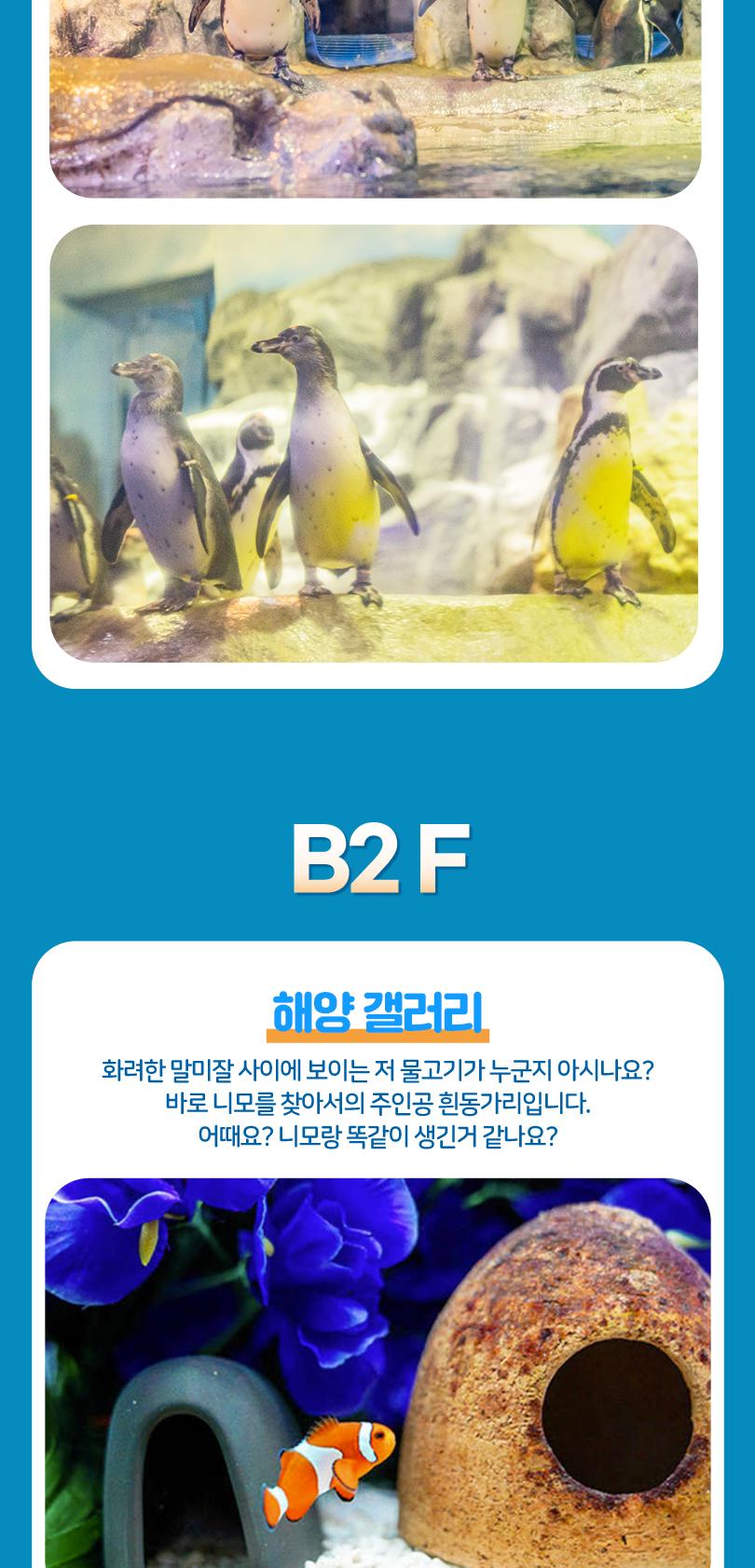 상품 상세 이미지 18