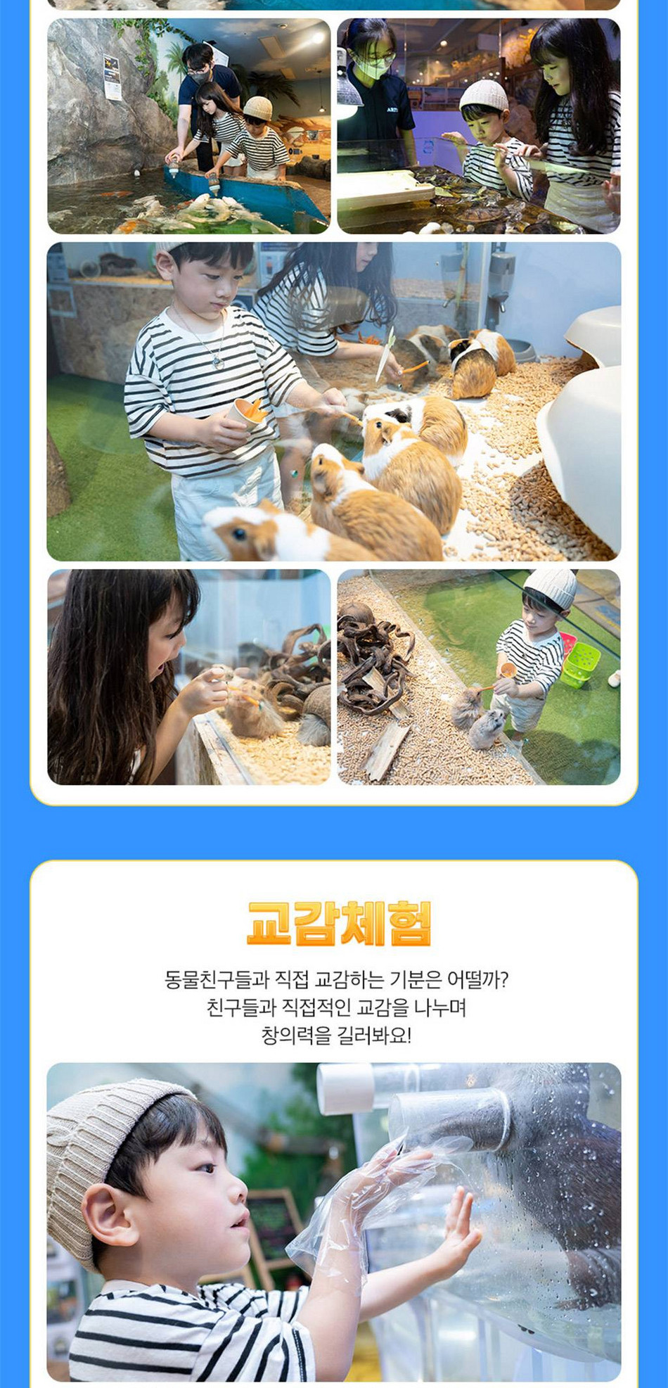 상품 상세 이미지 11