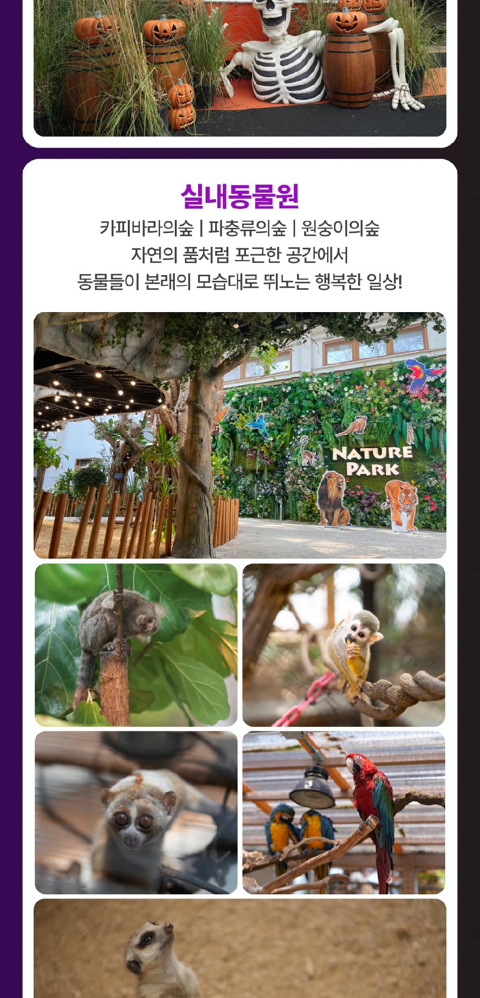 네이처파크 할로윈 페스티벌