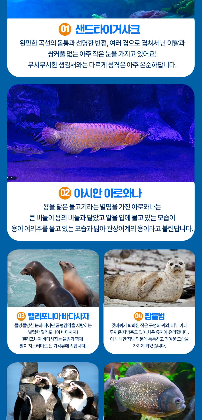 상품 상세 이미지 9