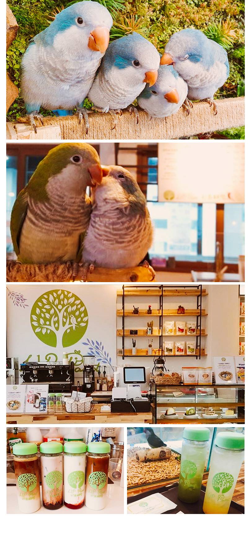 상품 상세 이미지 3