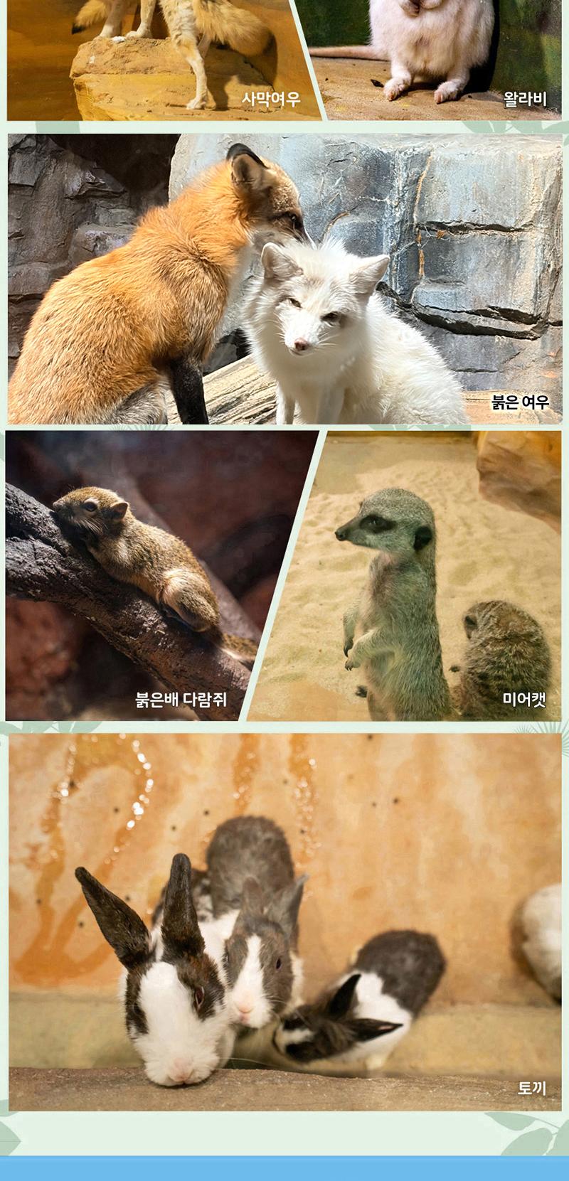 상품 상세 이미지 7