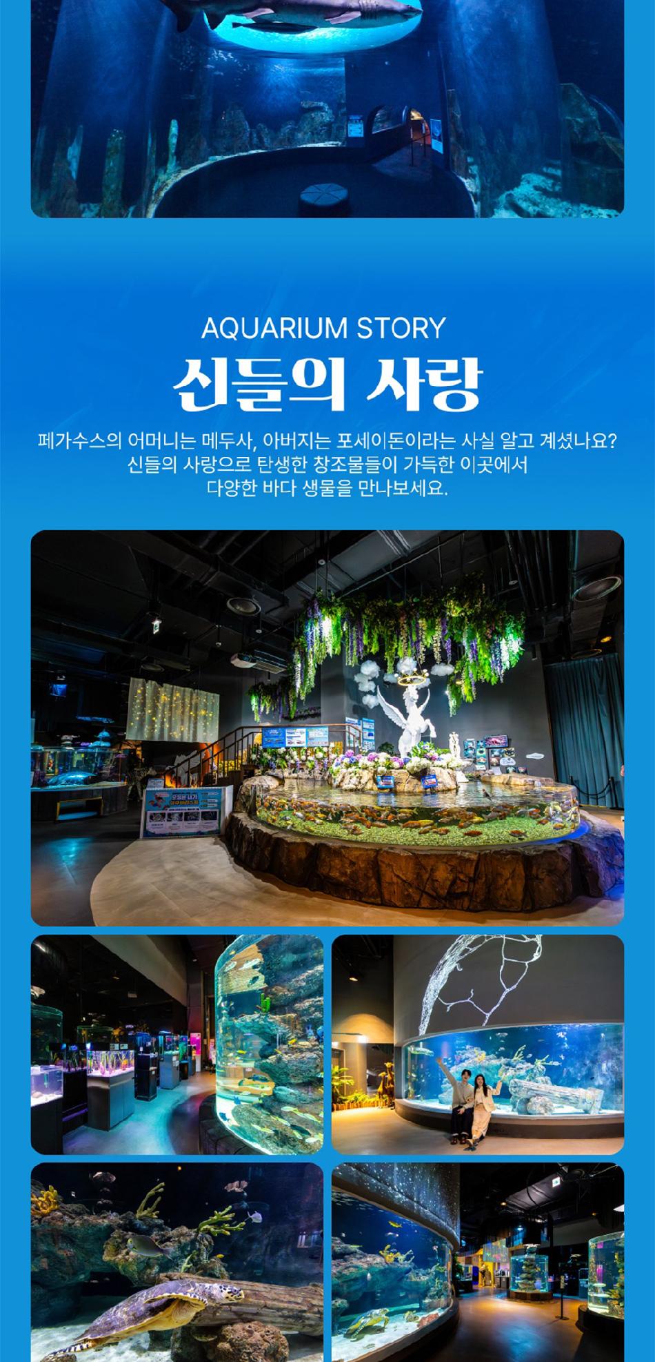 상품 상세 이미지 16