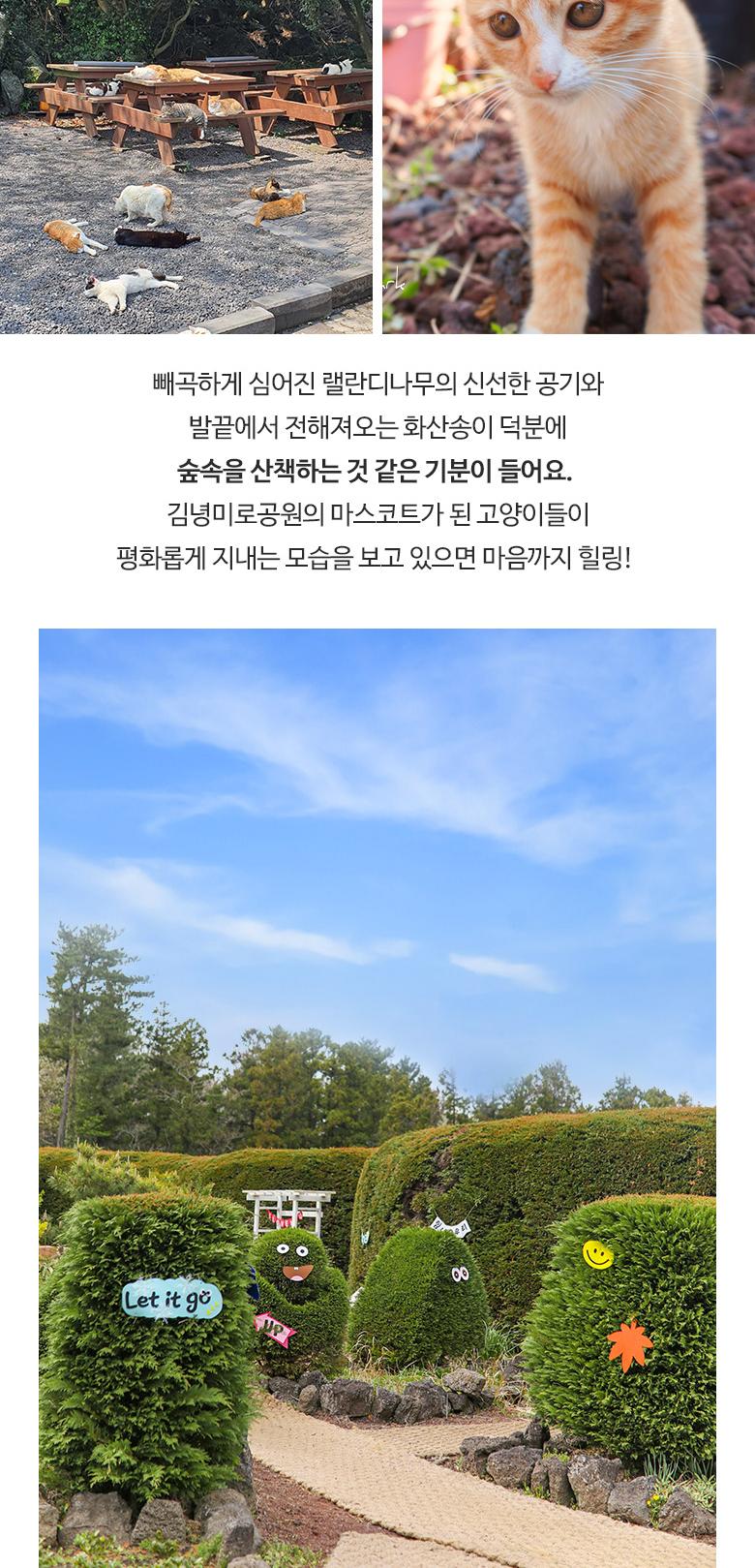 상품 상세 이미지 7