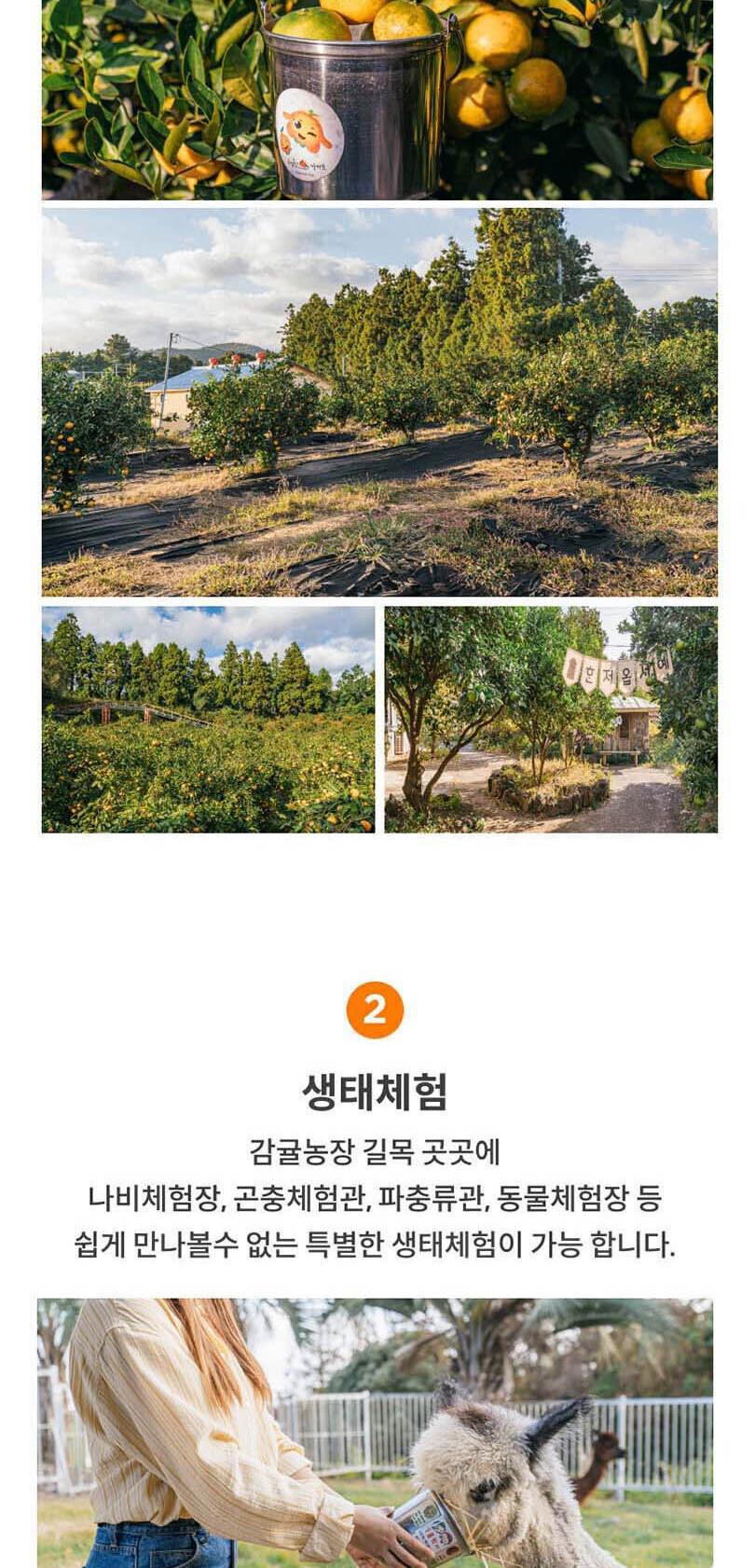 상품 상세 이미지 4