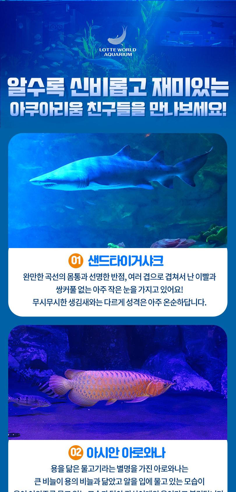 상품 상세 이미지 8