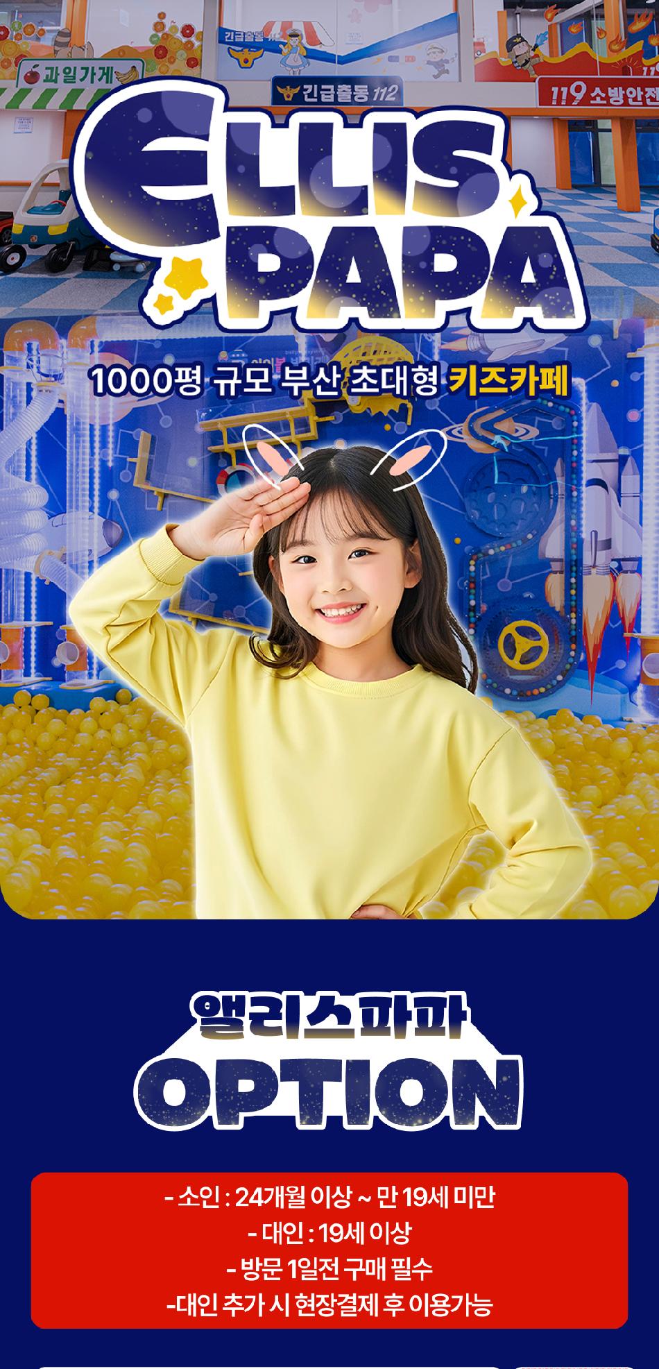앨리스파파 초대형키즈카페