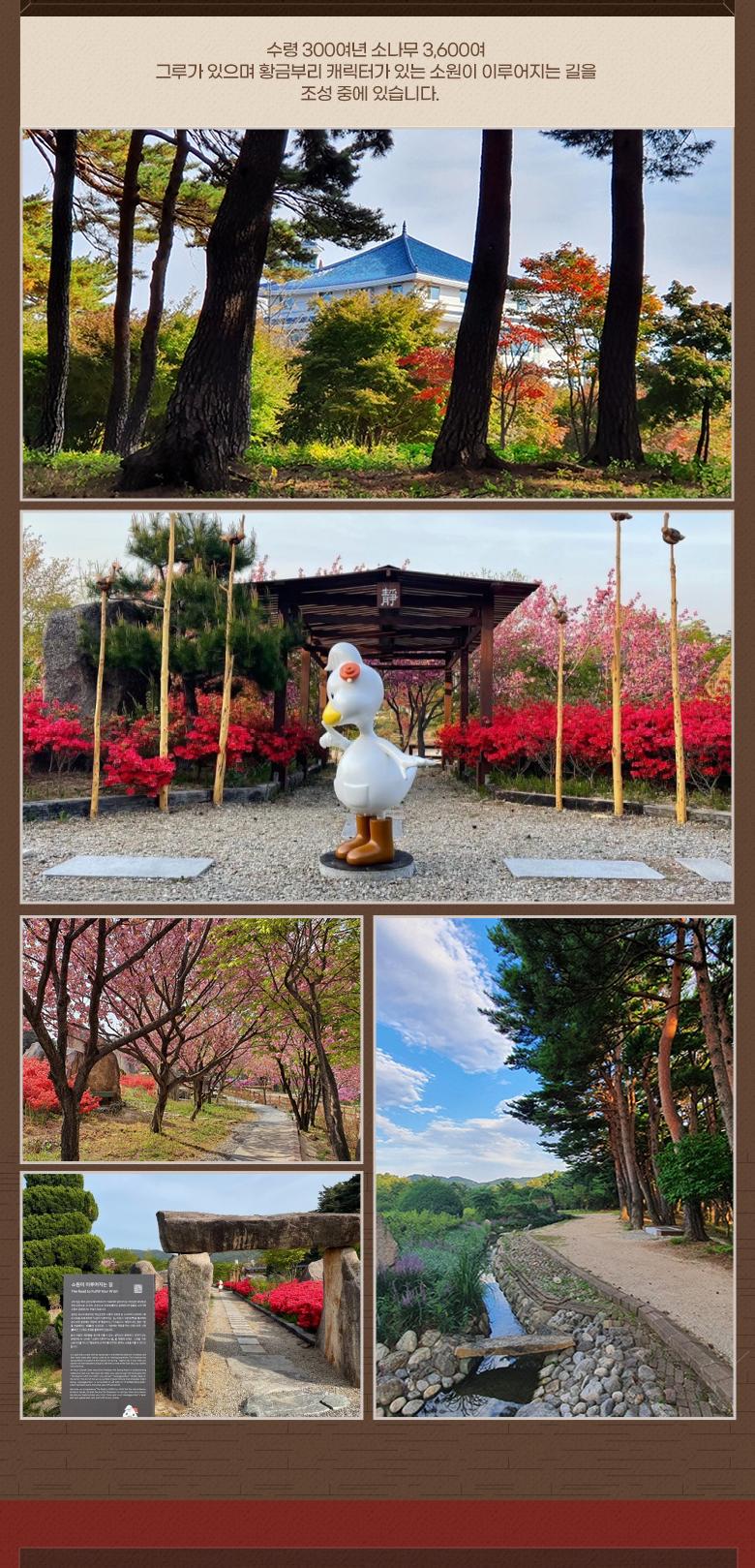 상품 상세 이미지 8