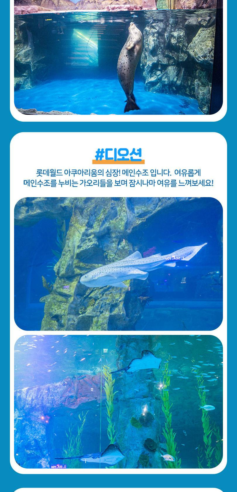 상품 상세 이미지 10