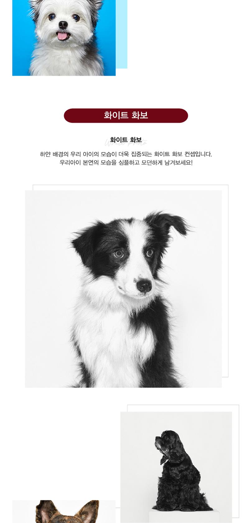 상품 상세 이미지 6