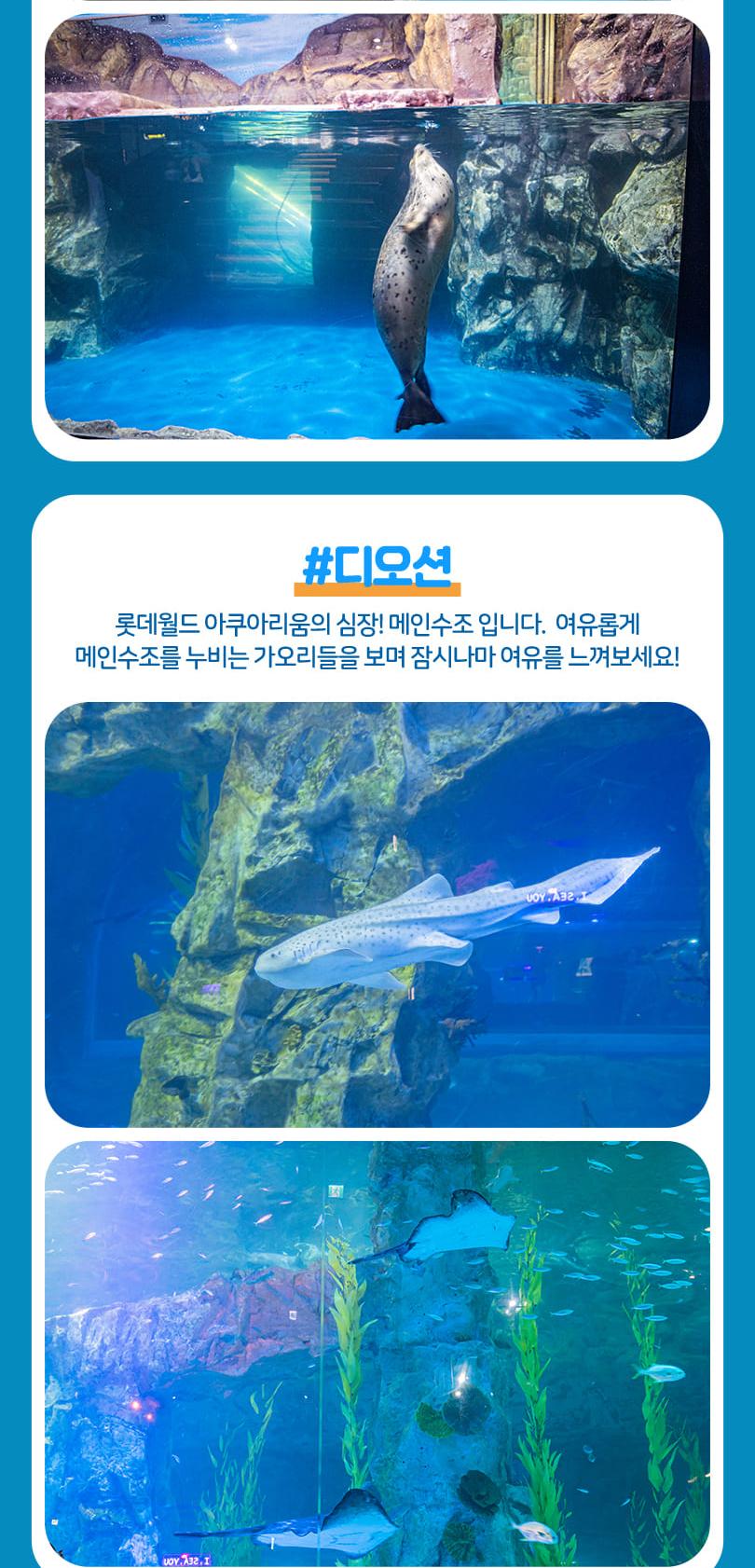 상품 상세 이미지 12