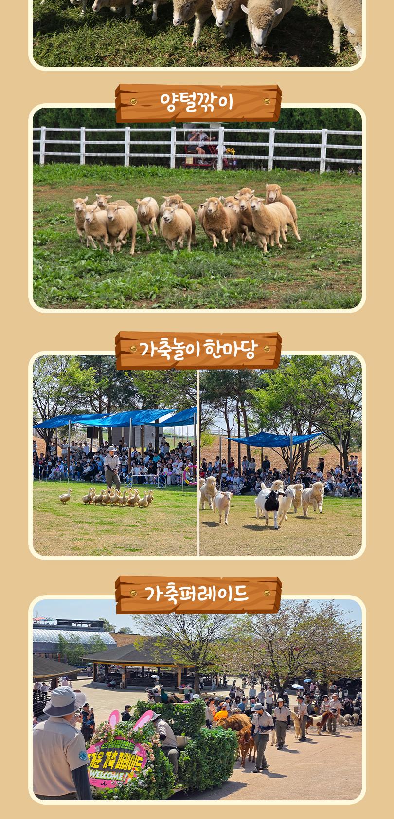 안성팜랜드 입장권 + 레이싱카트 패키지