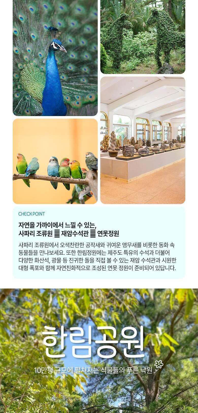 상품 상세 이미지 13