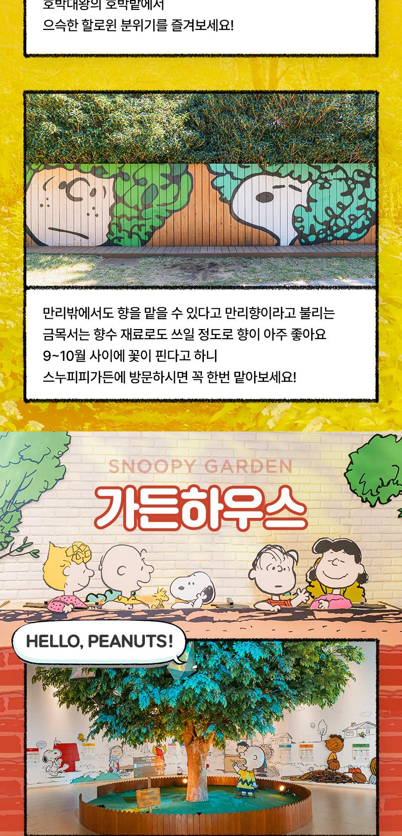 [제주] 스누피가든(~26/12/31)