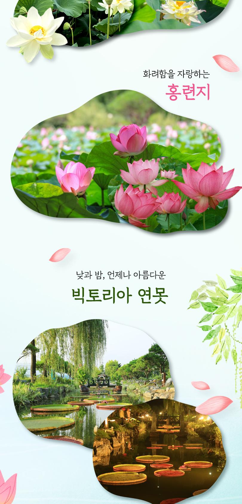 상품 상세 이미지 5