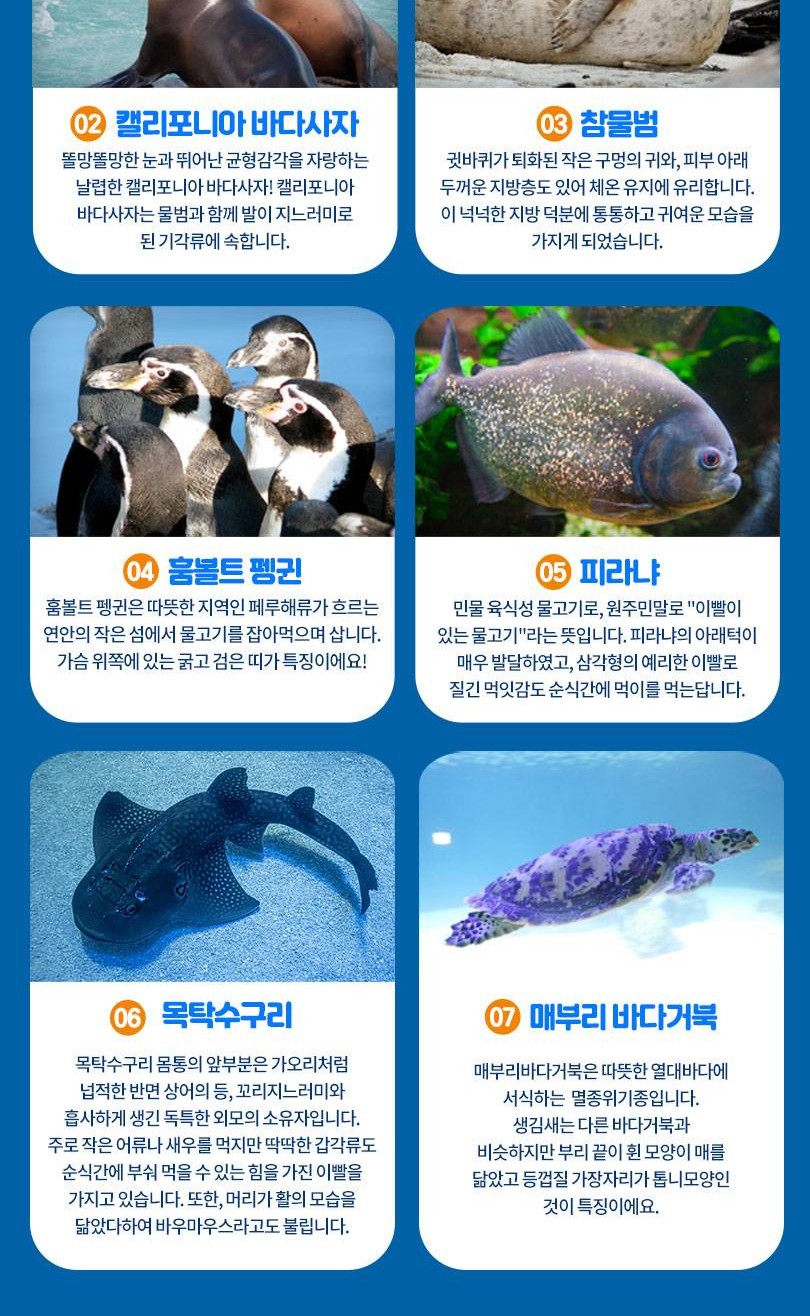 상품 상세 이미지 8