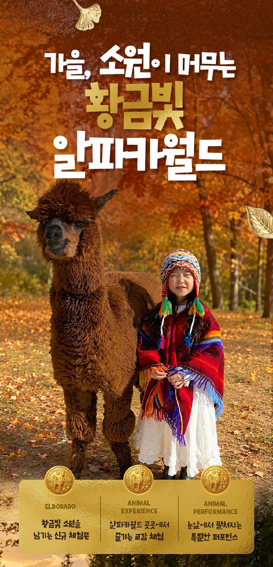상품 상세 이미지 2