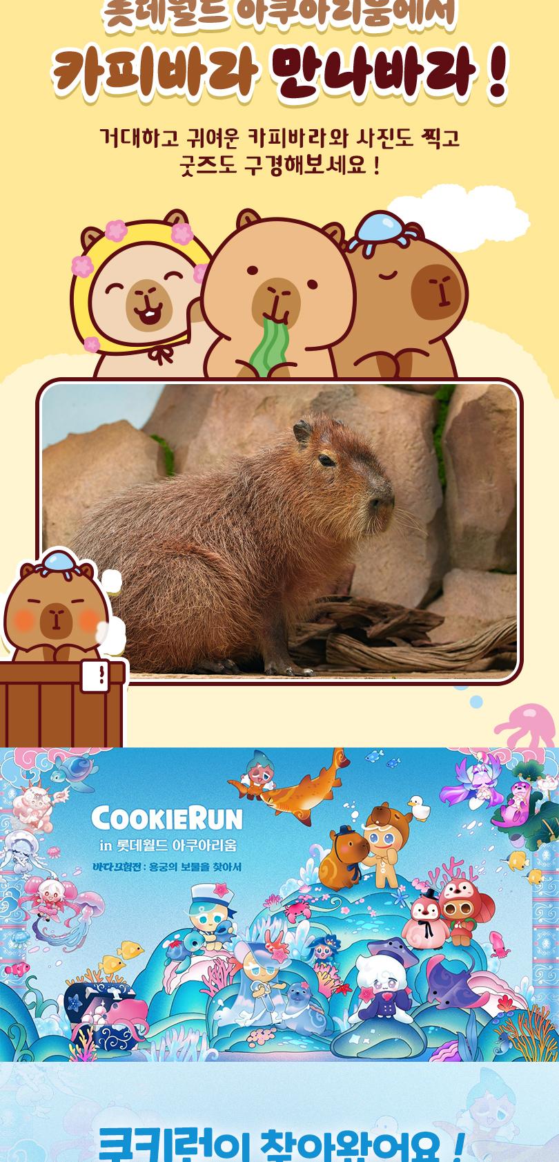 상품 상세 이미지 6