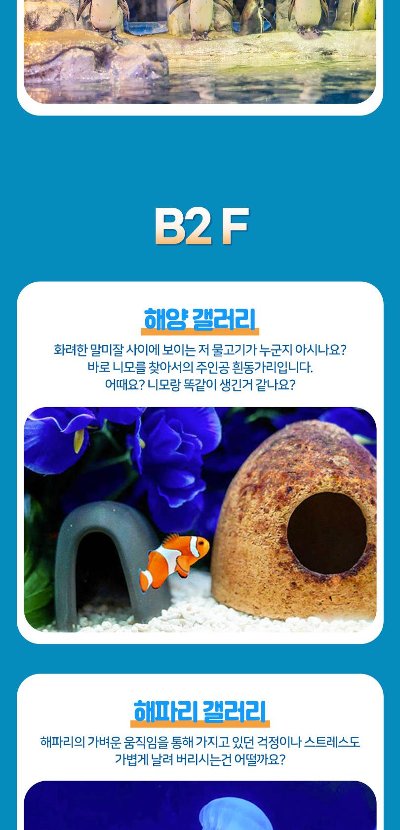 상품 상세 이미지 12