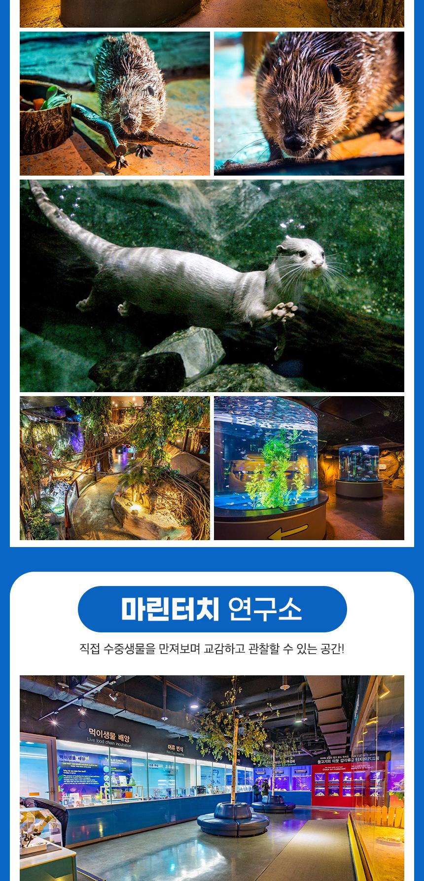 상품 상세 이미지 13