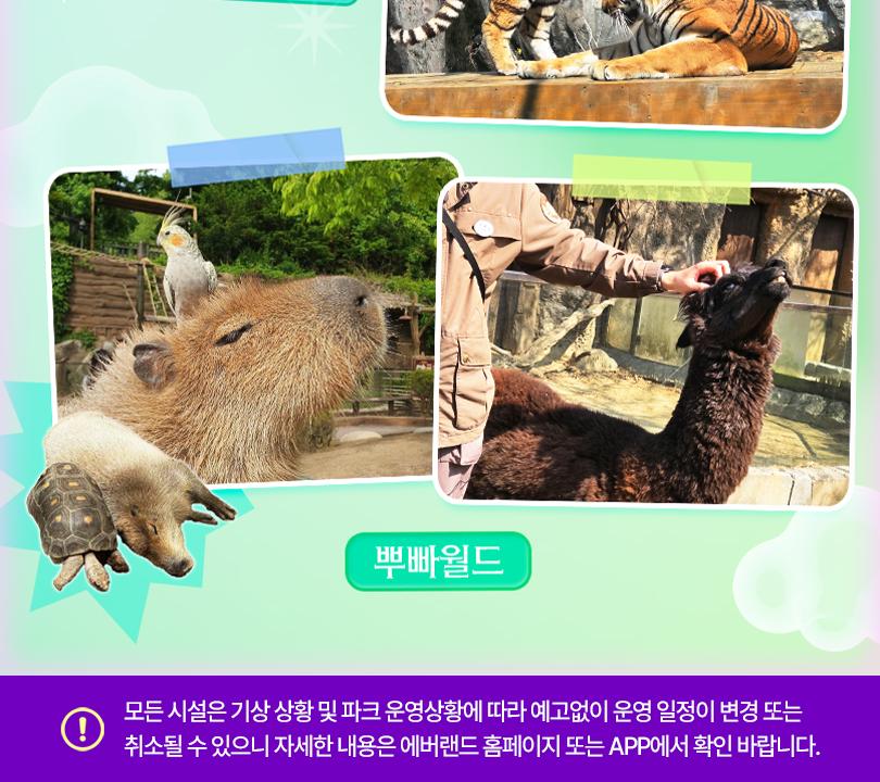 상품 상세 이미지 13